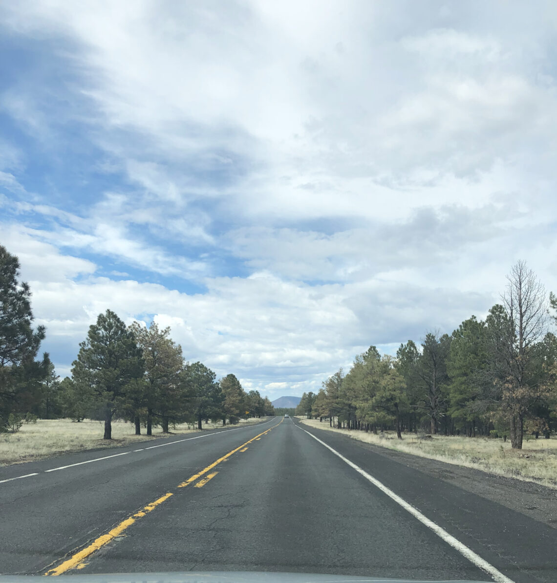 Regn, Twin Peaks og en stor kløft…