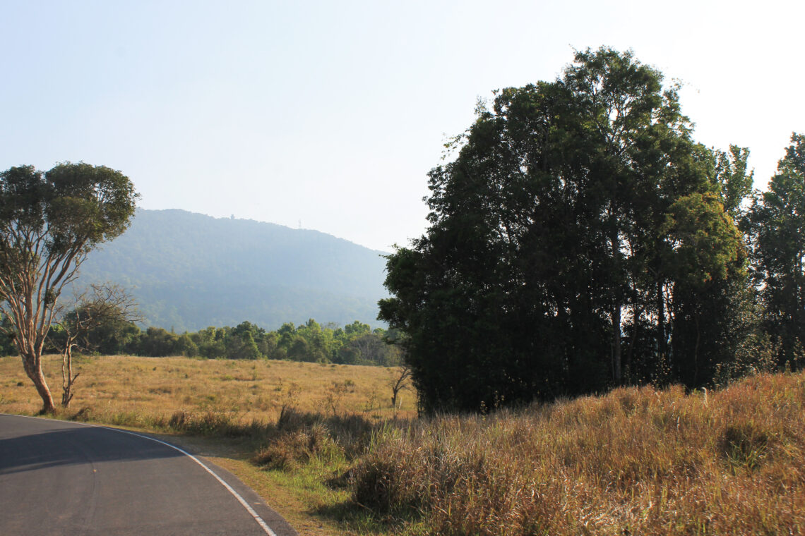 Elefanter, aber og total zen..